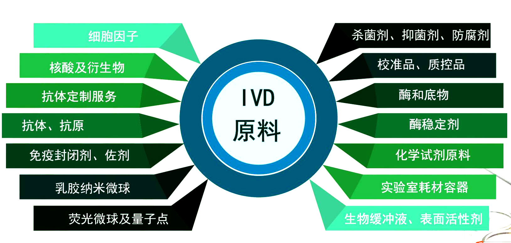 相约魔都 共谋未来|西宝生物与您相约2021 CCIVD体外诊断试剂展